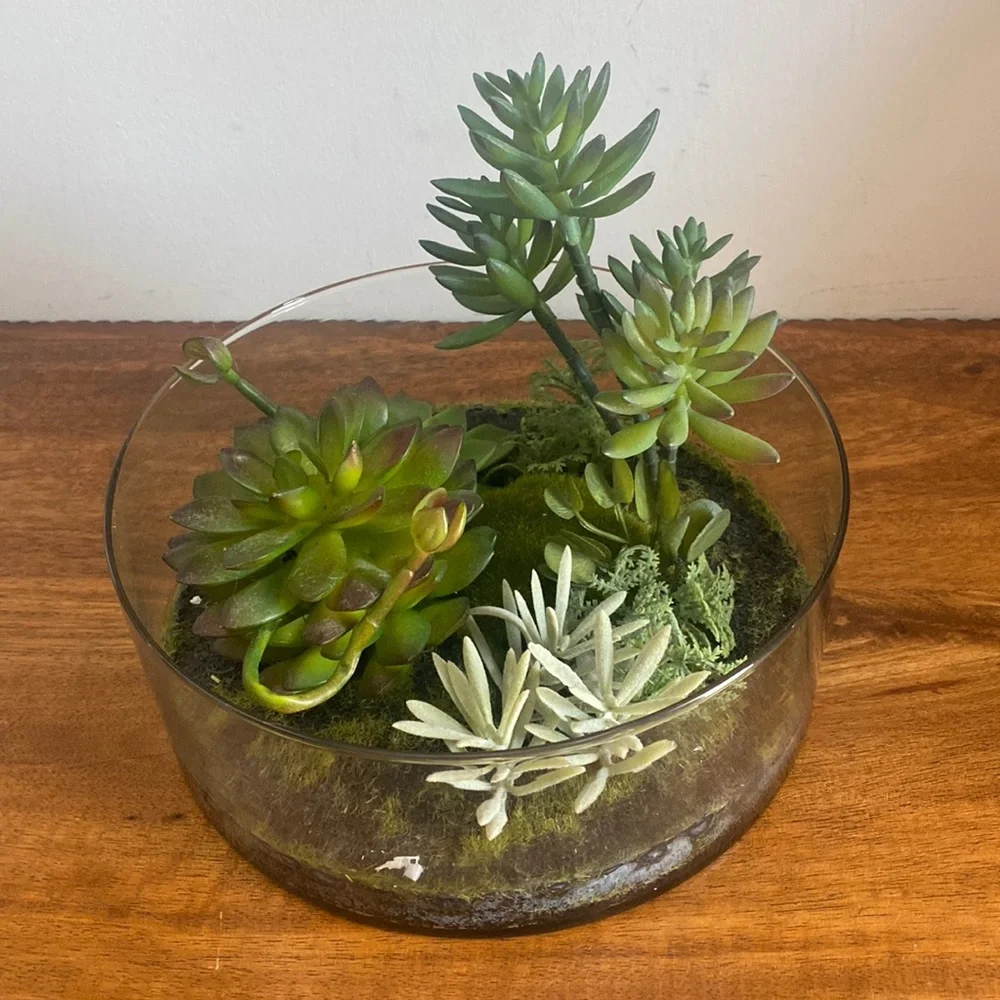 Target Threshold. Succulents in terrarium Glass bowl arrangement.